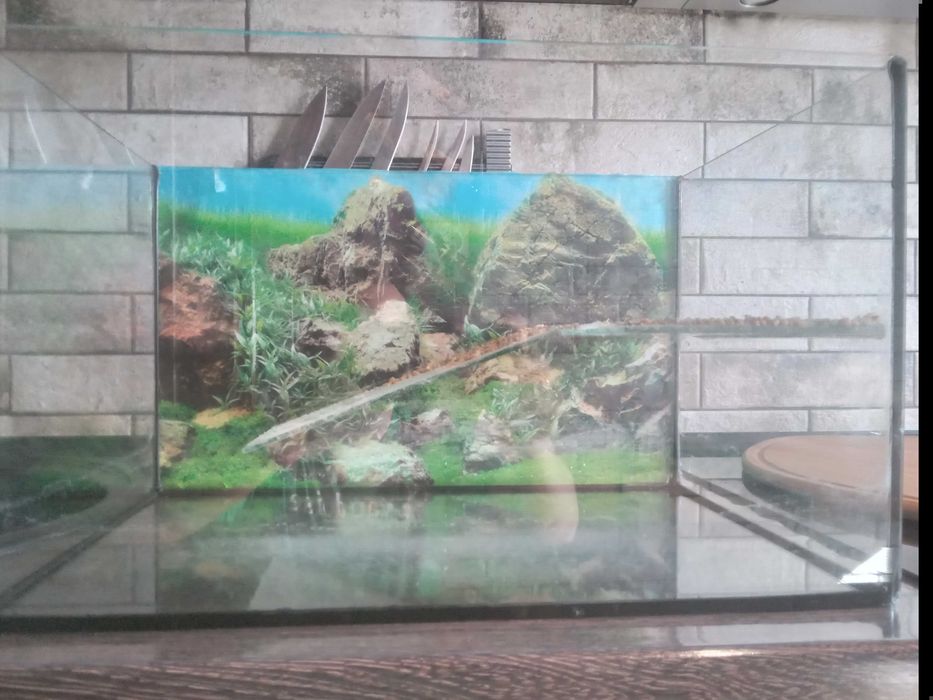 Акваріум 50 30 30 в доброму стані,може бути і тераріум.