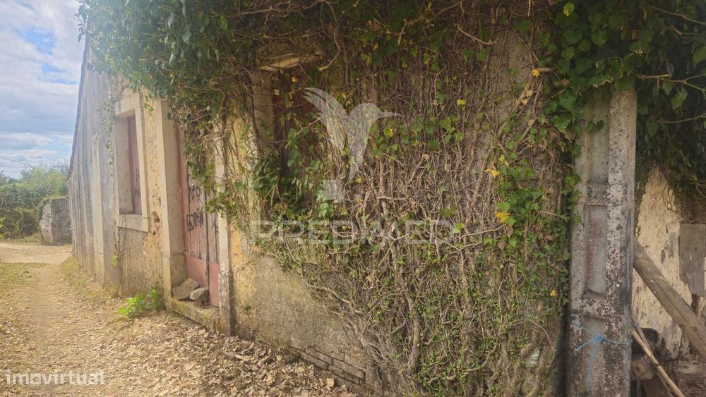 Quinta Com 14.280 M² | 3 Ruínas | 5 Poços | Nascente | Perto De Dor...