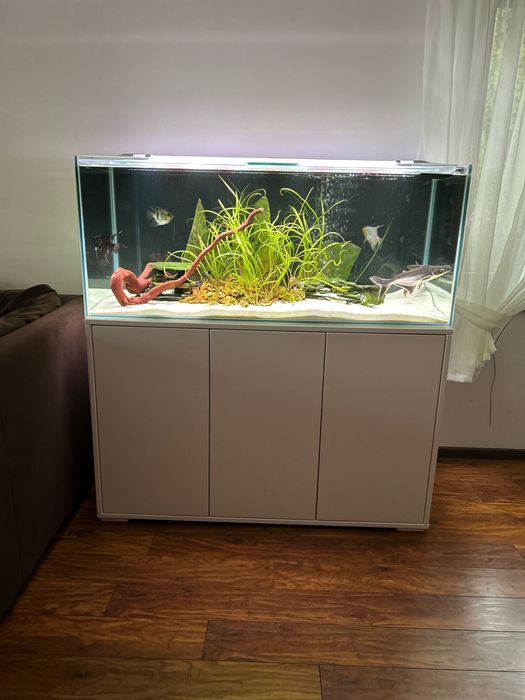 Sprzedam kompletne akwarium + szafka