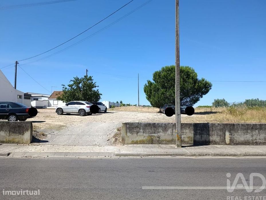 Terreno Agrícola em Almeirim
