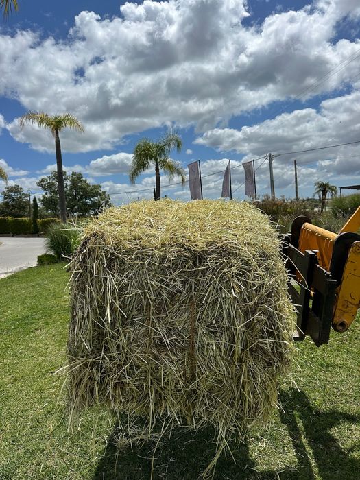 Feno de Azevém de 400 kg de Qualidade Superior