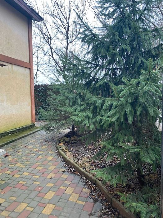 Дом в Червоном Хуторе.