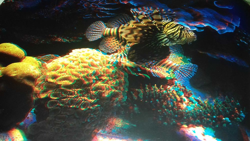 Фотоальбом пейзажей Израиля в трех измерениях 3D