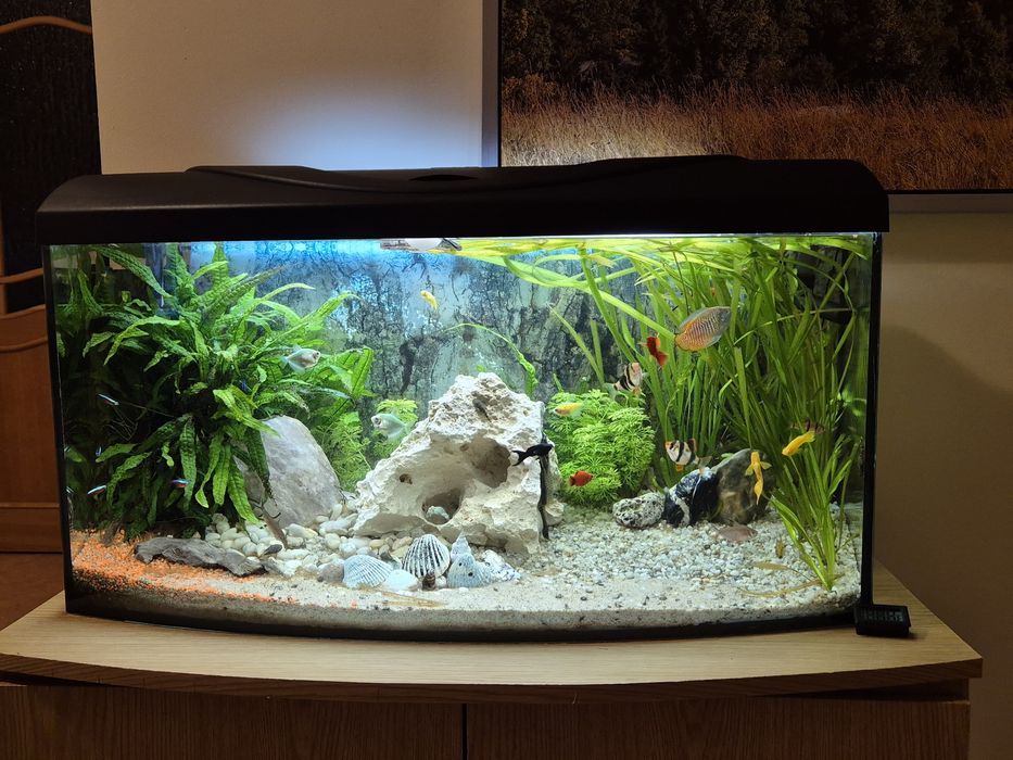 Sprzedam akwarium 112 litrów.