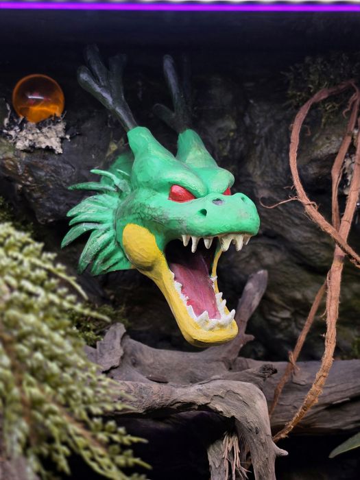 Terrarium na wymiar z aranżacją