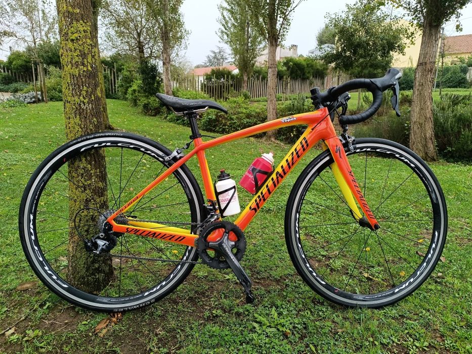 Specialized de carbono