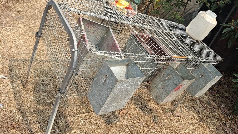 Coelheiras,  gaiolas coelhos