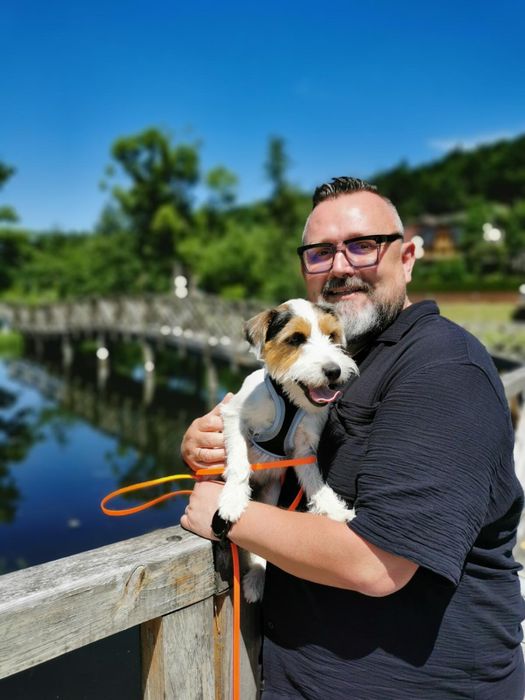 Szczeniak Parson Russell Terrier