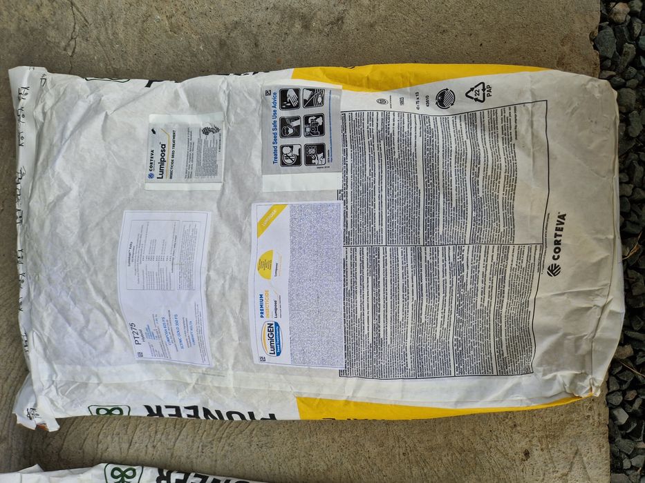 Nasiona rzepaku piooner pt275 okazja lumpiposa lumidapt