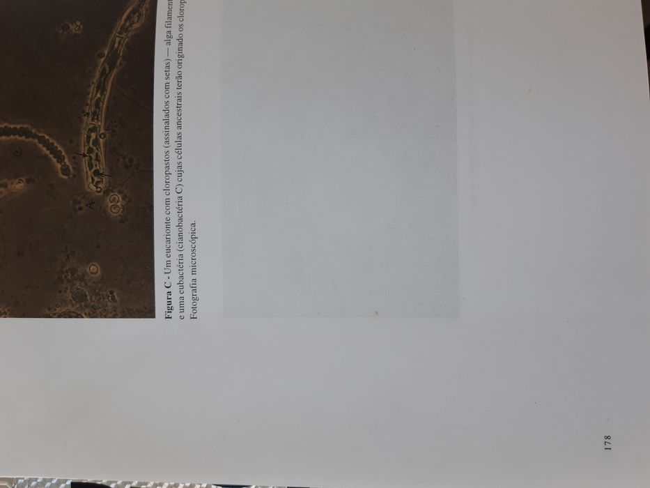 Livro Biologia microbiana