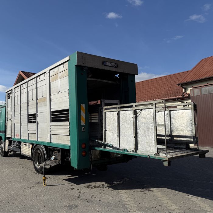 Zabudowa do Przewozu Zwierząt 1XBYDŁO 2XŚWINIE