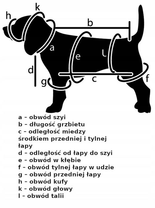 Kołnierz Okulistyczny Pooperacyjny (pies, Kot) - S