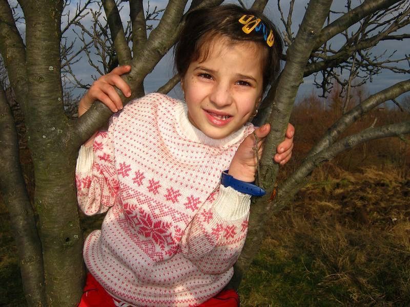 Цифрова камера Canon PowerShot A490