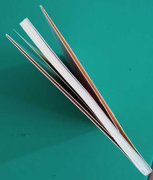 Festa no Covil - Juan Pablo Villalobos