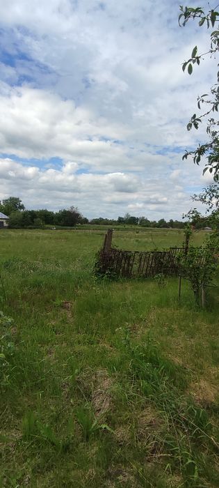 Затишна садиба біля Десни