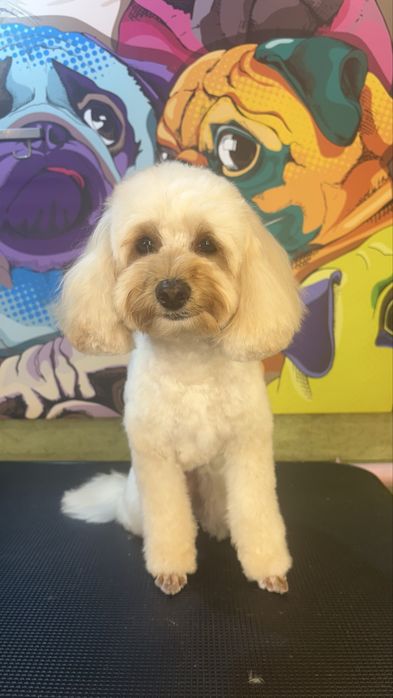 Моделі для Академії Грумінгу. Палац спорту