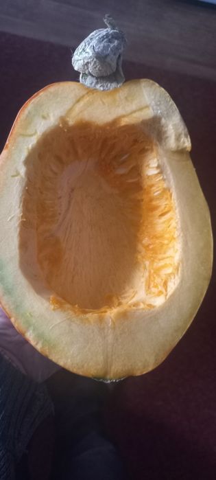 Продам домашние гарбуз/тыква