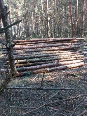 Sprzedam stemple budowlane 3 metry