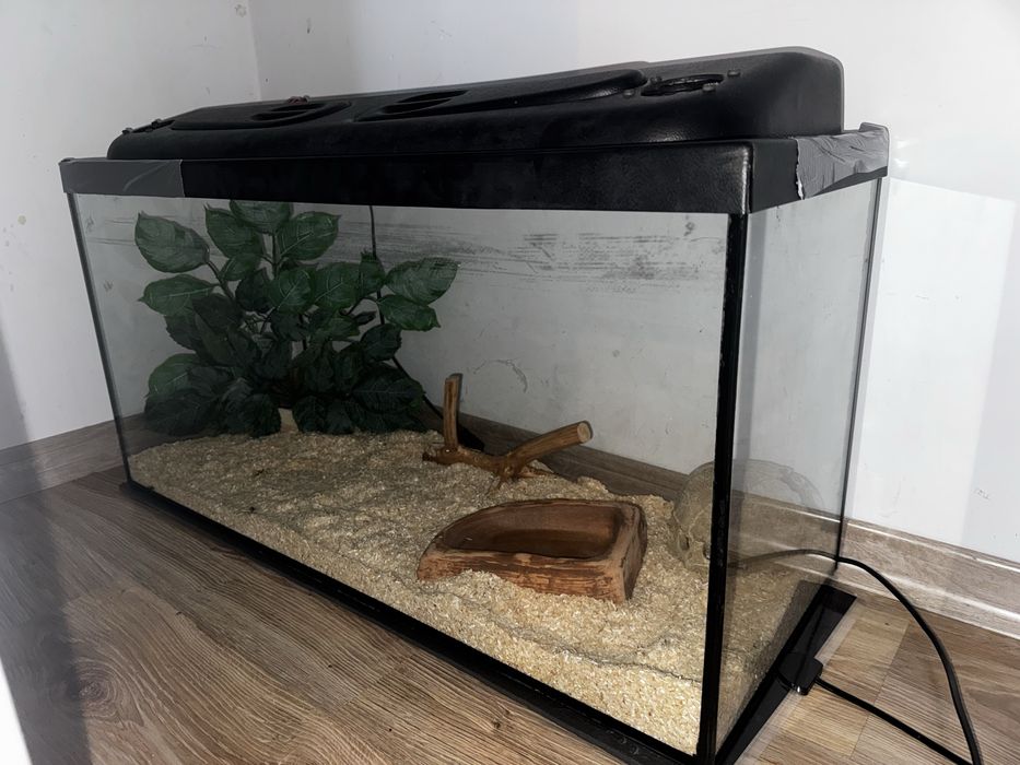 Terrarium dla gadów