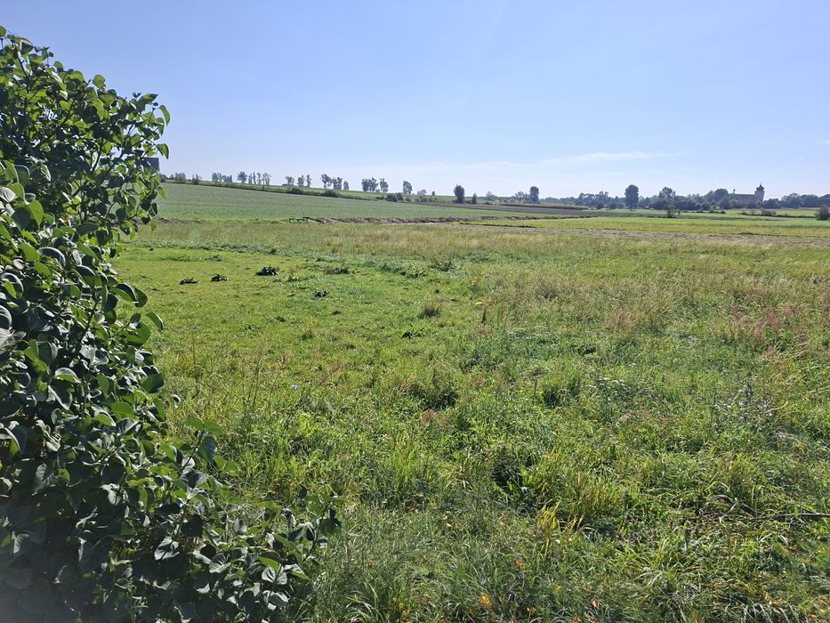Działka budowlana 1623m² z MPZP - Widok 4