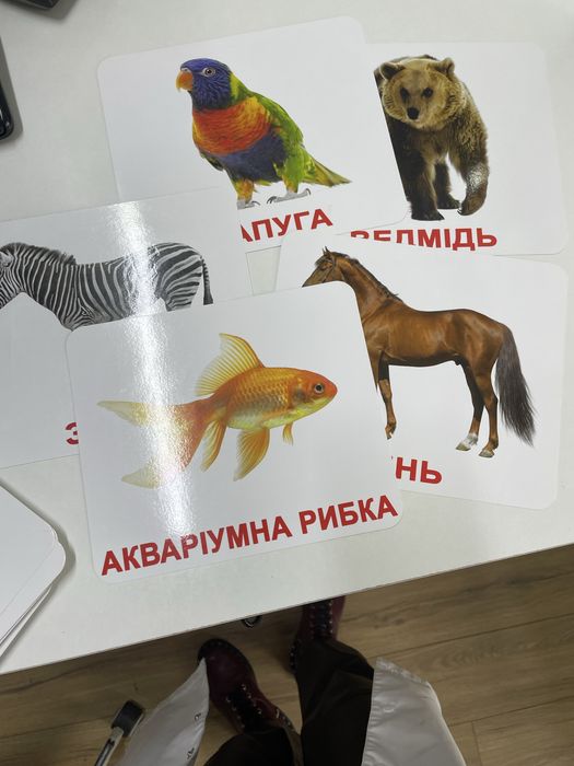 Набір карток Домана для дітей, великих(19,5на16,5см)