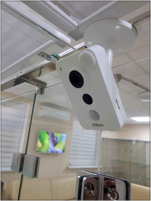 Готель, гостиниця, перетримка тварин котів та кішок в Києві "КАЗКА"