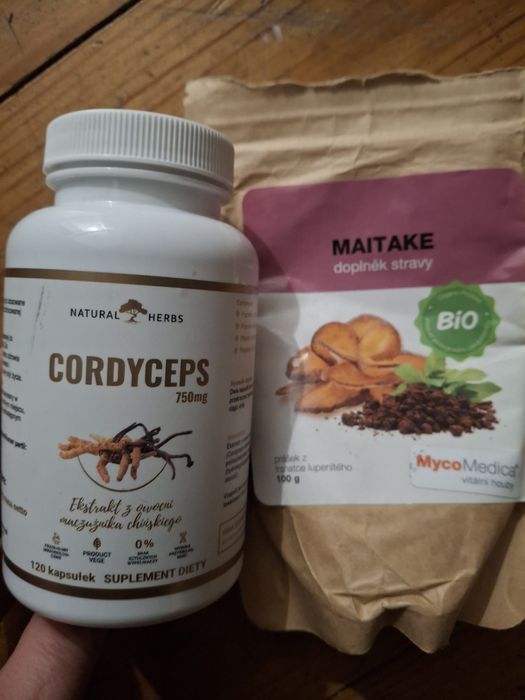 Cordyceps reishi maitake Mycomedica