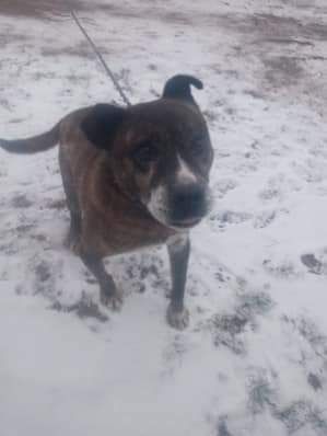 Arni kochany staruszek do adopcji!