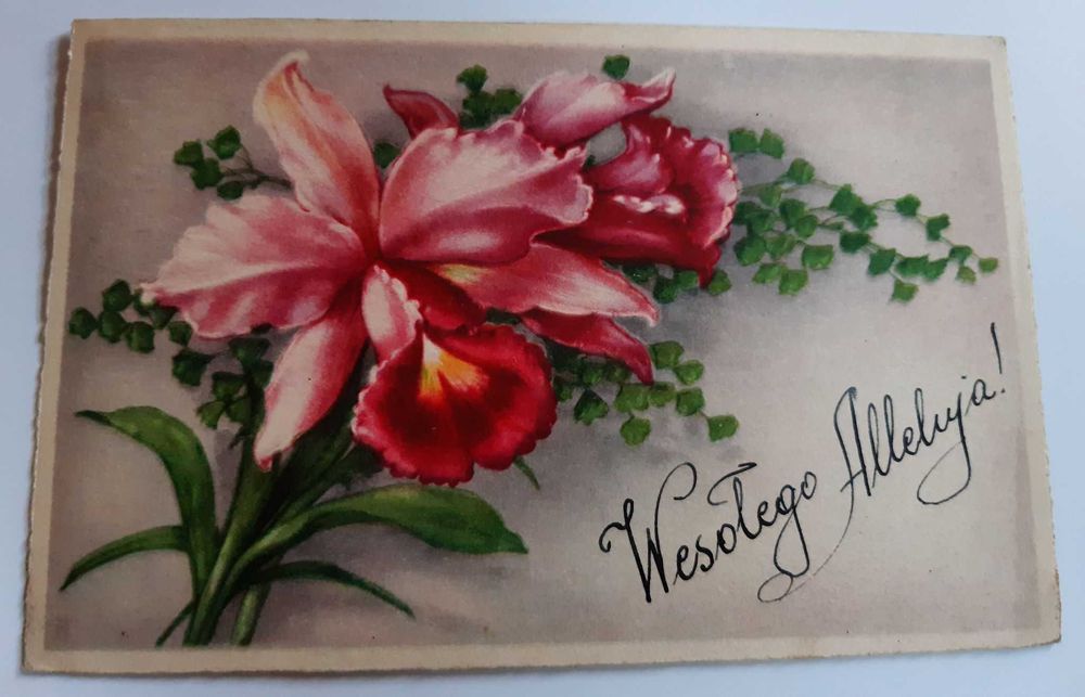 STARA pocztówka - Kwiat - Wesołego Alleluja! (1.IV.1942r.)