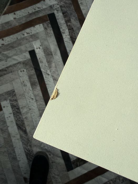 Białe biurko biurko komputerowe