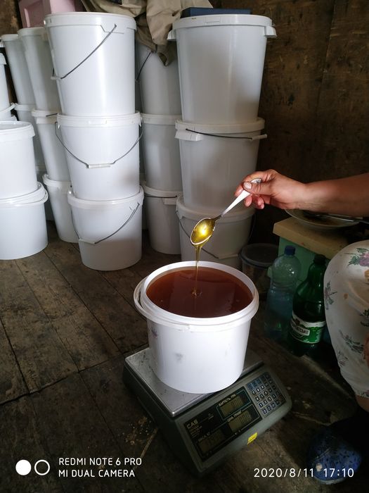 Продам мед , мёд... ЕКО