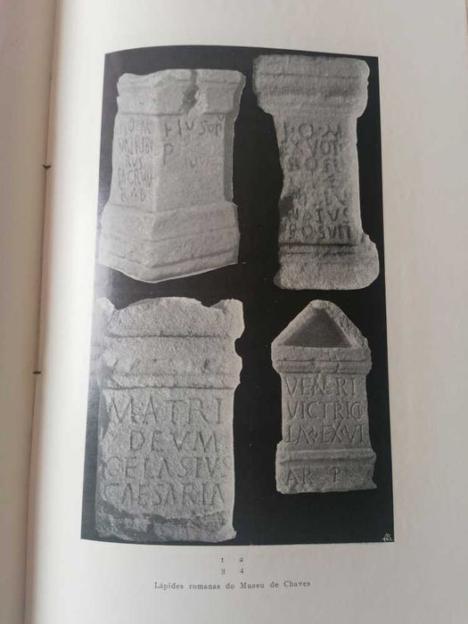 Viriatis - Arte, Arqueologia Museologia -Vol.1 nº.2