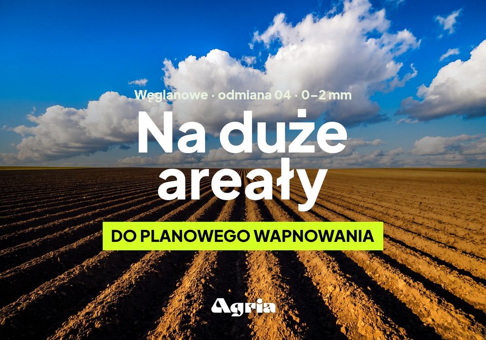 Wapno nawozowe węglanowe odmiana 04 luzem — kreda nawozowa do odkwaszania gleby, najniższy koszt tony, dostawa całopojazdowa 24 t, atest OSChR