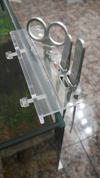 Manutenção plantas aquário