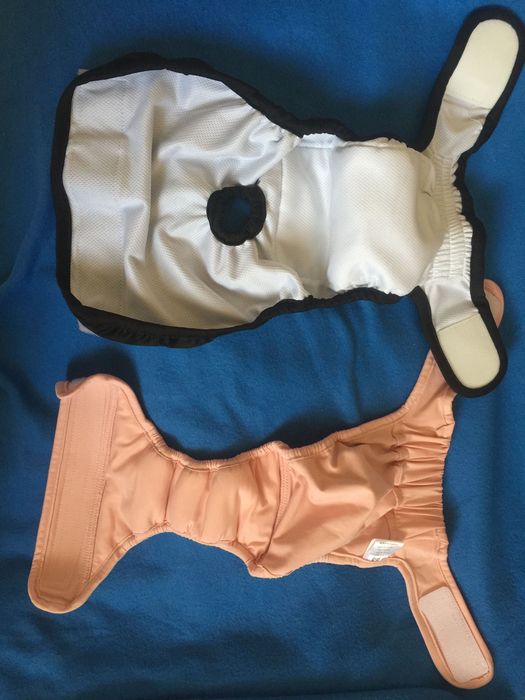 Holly Berlin рremium dog pants