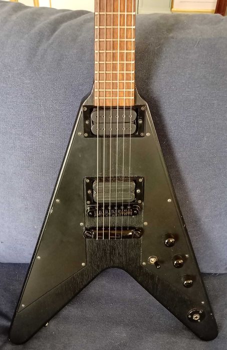 Washburn WV-60 com saco de transporte