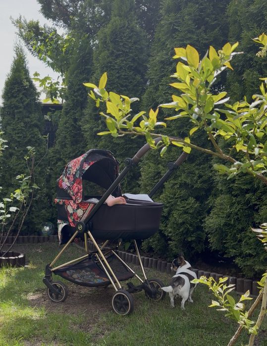 Gondola Cybex Mios Blossom Dark - black