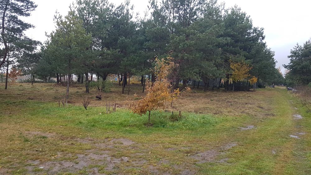 Działka budowlane, szlak Wielkich J Mazurskich, Kozin, Media, 1000m x2 - Więcej