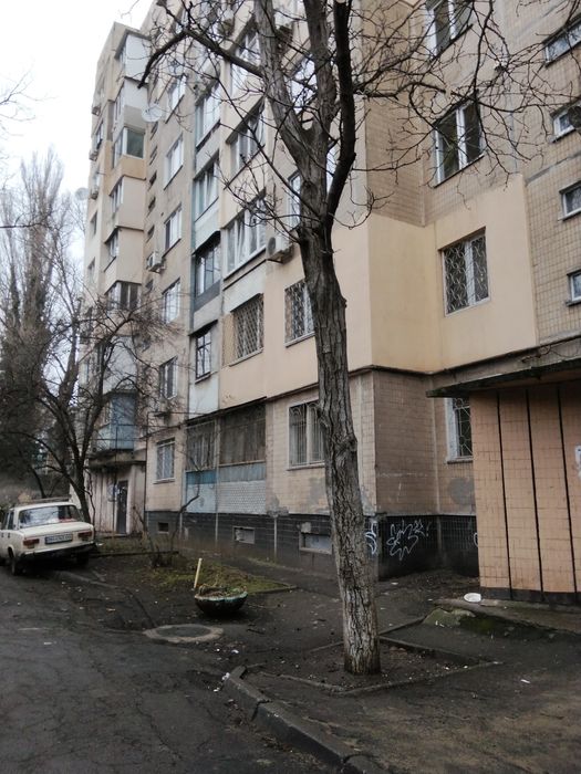 2 Куликовский пер/ Пироговская, 6/9, чешка