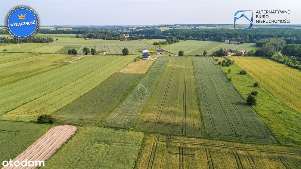 Atrakcyjna działka budowlano-rolna w Żabiej Woli