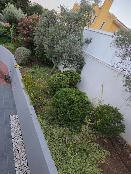 Pretende-se Serviço de Jardinagem em Oeiras