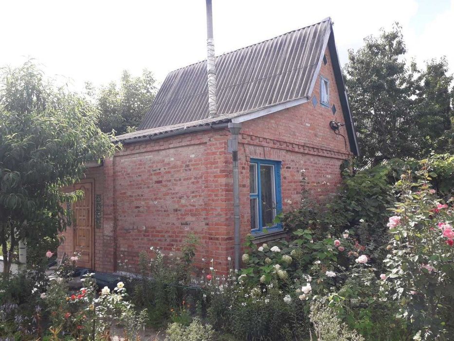 Дачка невеличка але вся в трояндах .  Массив біля лісу та річки  Рось