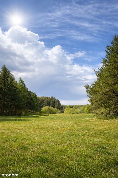 Działki siedliskowe Zalesie Królewskie idealne pod dom lub letniskowe