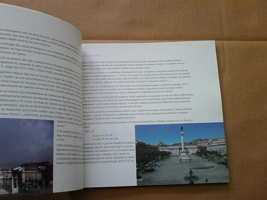 Técnicas de Calçada: Manual do Formando