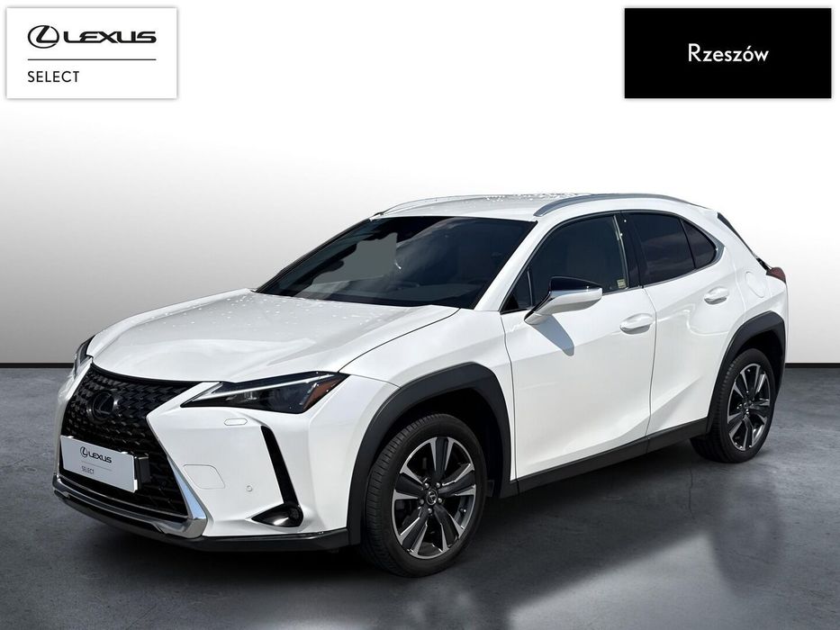 Lexus UX UX250h Business + Techno | Serwis ASO | Vat23%