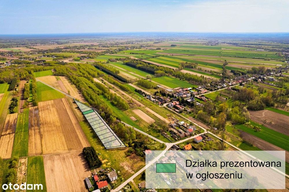 Działka z kameralnym zadrzewieniem