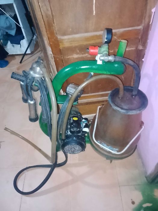 EFACEEC máquina profissional de leite