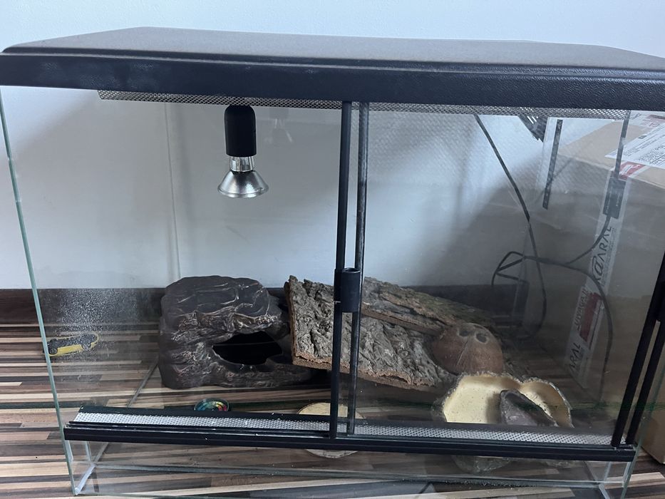 Terrarium z akcesoriami