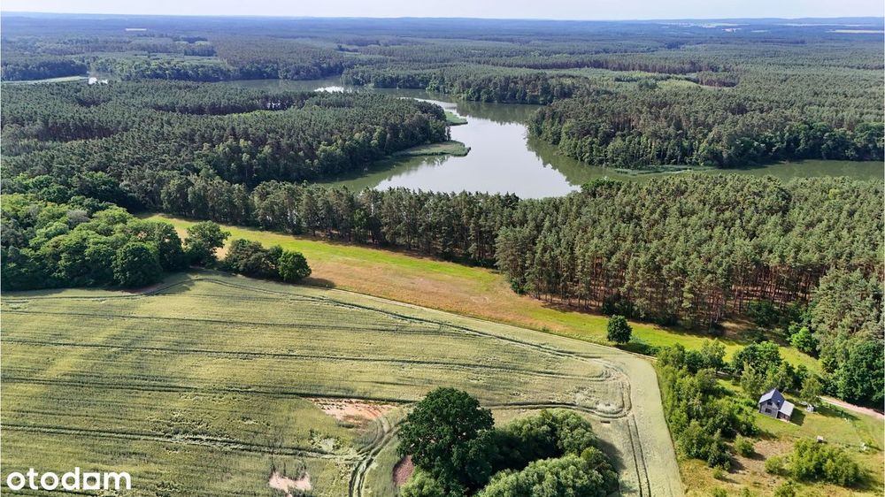 Działki budowlane nad Zalewem Bledzewskim. Las, jezioro i natura. - Widok 2