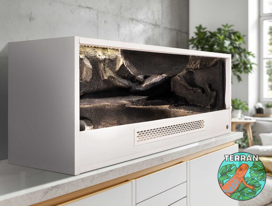 Terrarium 120x60x60 cm Anolis Gekon Agama wąż zbożowy